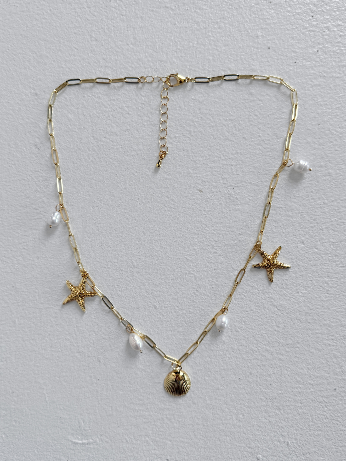 Shell Charm Chain