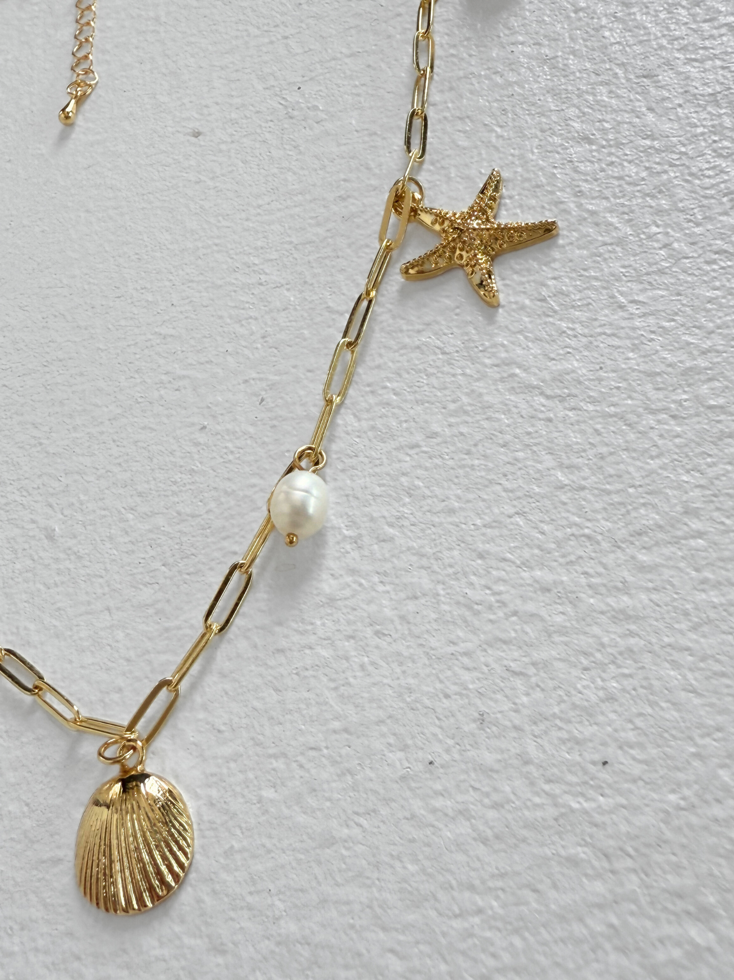 Shell Charm Chain