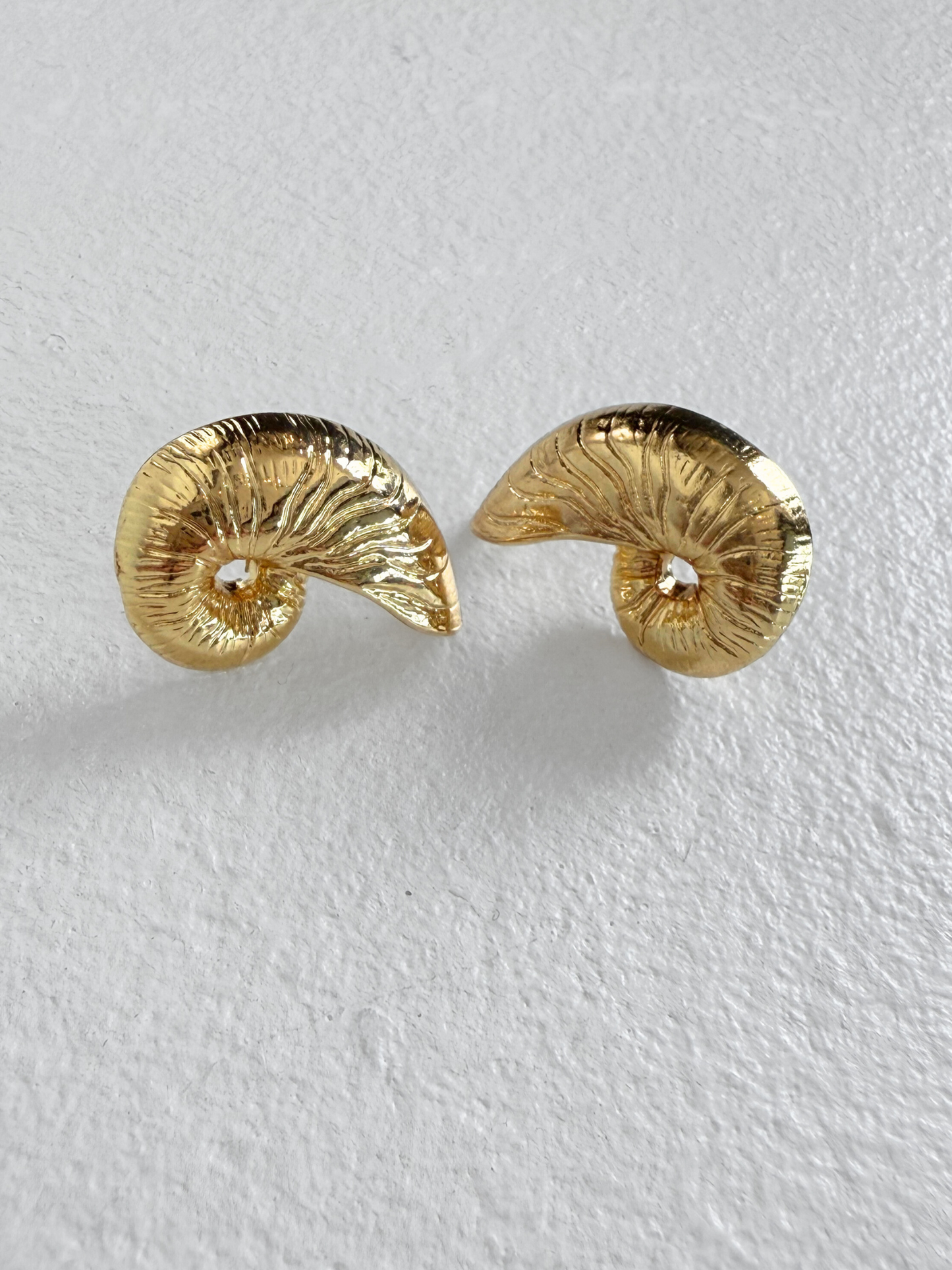 Shell Stud Earrings