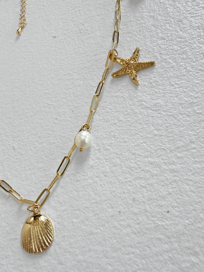 Shell Charm Chain
